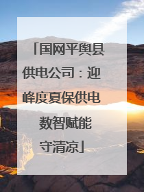国网平舆县供电公司：迎峰度夏保供电  数智赋能守清凉
