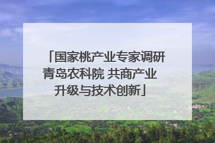 国家桃产业专家调研青岛农科院 共商产业升级与技术创新