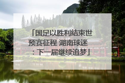 国足以胜利结束世预赛征程 湖南球迷：下一届继续追梦
