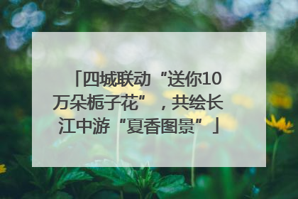 四城联动“送你10万朵栀子花”，共绘长江中游“夏香图景”
