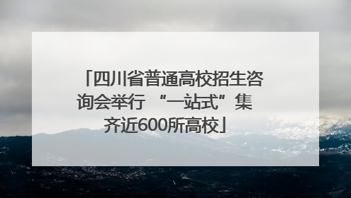 四川省普通高校招生咨询会举行 “一站式”集齐近600所高校
