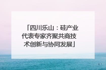 四川乐山：硅产业代表专家齐聚共商技术创新与协同发展