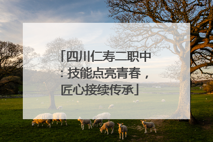 四川仁寿二职中：技能点亮青春，匠心接续传承