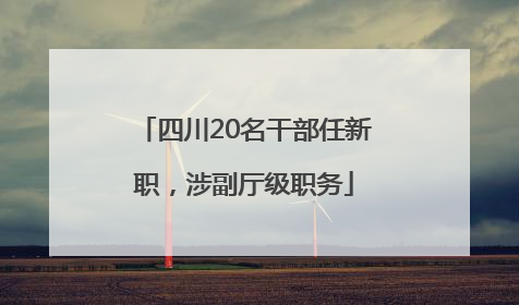 四川20名干部任新职，涉副厅级职务