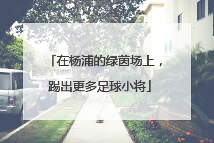 在杨浦的绿茵场上，踢出更多足球小将