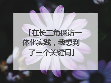 在长三角探访一体化实践，我想到了三个关键词