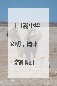 寻溯中华文明，请来洛阳城