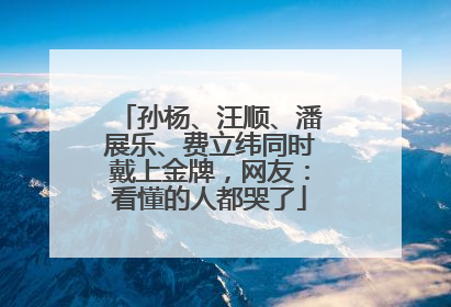孙杨、汪顺、潘展乐、费立纬同时戴上金牌，网友：看懂的人都哭了
