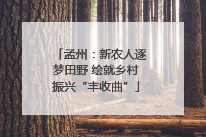 孟州：新农人逐梦田野 绘就乡村振兴“丰收曲”