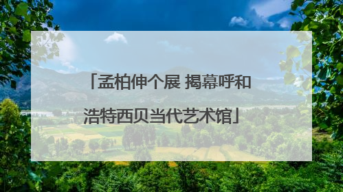孟柏伸个展 揭幕呼和浩特西贝当代艺术馆