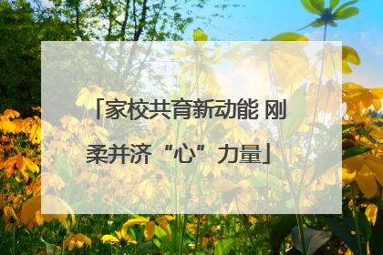家校共育新动能 刚柔并济“心”力量