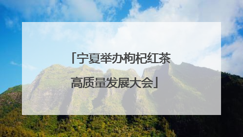 宁夏举办枸杞红茶高质量发展大会