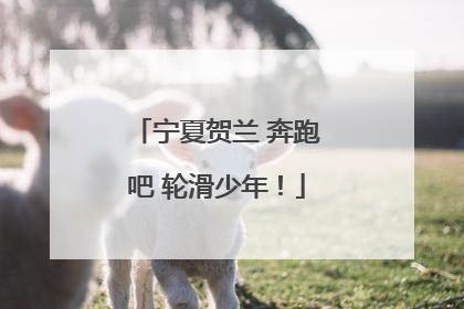 宁夏贺兰 奔跑吧 轮滑少年！