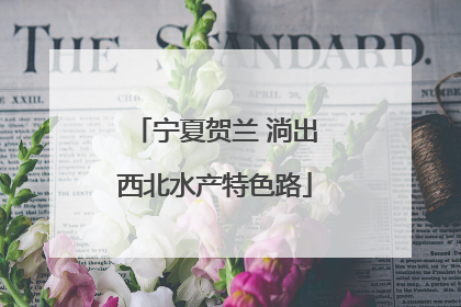 宁夏贺兰 淌出西北水产特色路