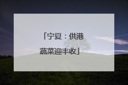 宁夏：供港蔬菜迎丰收
