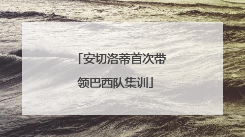 安切洛蒂首次带领巴西队集训