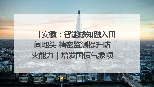 安徽：智能感知融入田间地头 精密监测提升防灾能力｜增发国债气象项目落地见效系列报道