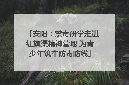安阳：禁毒研学走进红旗渠精神营地 为青少年筑牢防毒防线