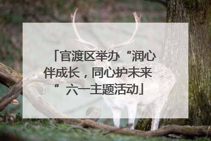 官渡区举办“润心伴成长，同心护未来”六一主题活动