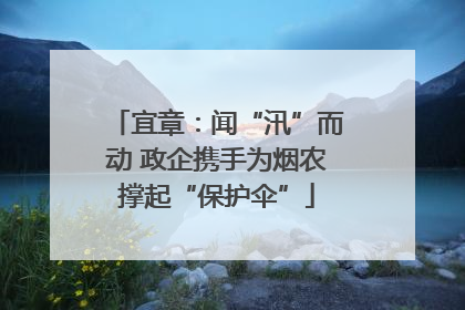 宜章：闻“汛”而动 政企携手为烟农撑起“保护伞”