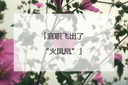 宜职飞出了“火凤凰”