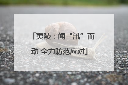 夷陵：闻“汛”而动 全力防范应对