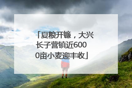 夏粮开镰，大兴长子营镇近6000亩小麦迎丰收