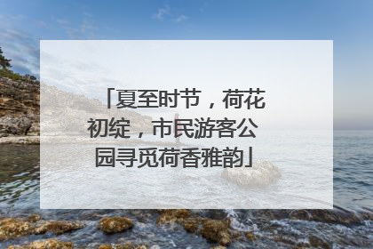 夏至时节，荷花初绽，市民游客公园寻觅荷香雅韵