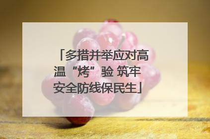 多措并举应对高温“烤”验 筑牢安全防线保民生