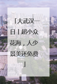 大武汉一日丨超小众花海，人少景美还免费