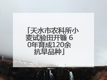 天水市农科所小麦试验田开镰 60年育成120余抗旱品种