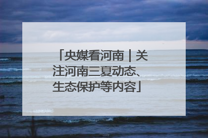 央媒看河南｜关注河南三夏动态、生态保护等内容