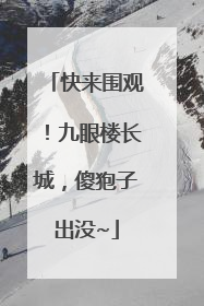 快来围观！九眼楼长城，傻狍子出没~