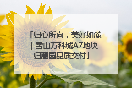 归心所向，美好如麓｜雪山万科城A7地块归麓园品质交付