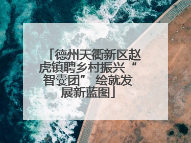 德州天衢新区赵虎镇聘乡村振兴“智囊团” 绘就发展新蓝图