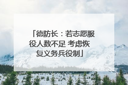 德防长：若志愿服役人数不足 考虑恢复义务兵役制