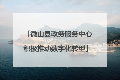 微山县政务服务中心积极推动数字化转型