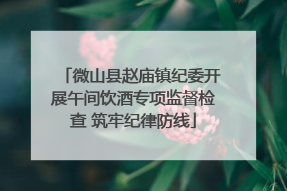 微山县赵庙镇纪委开展午间饮酒专项监督检查 筑牢纪律防线