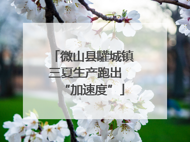 微山县驩城镇三夏生产跑出 “加速度”