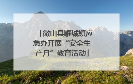 微山县驩城镇应急办开展“安全生产月”教育活动