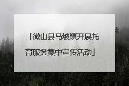 微山县马坡镇开展托育服务集中宣传活动