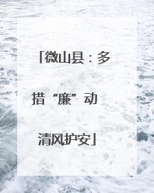 微山县：多措“廉”动 清风护安