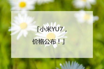 小米YU7，价格公布！
