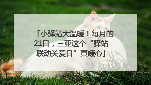 小驿站大温暖！每月的21日，三亚这个“驿站联动关爱日”真暖心