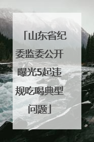 山东省纪委监委公开曝光5起违规吃喝典型问题