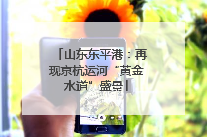 山东东平港：再现京杭运河“黄金水道”盛景