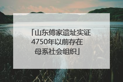 山东傅家遗址实证4750年以前存在母系社会组织