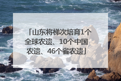 山东将梯次培育1个全球农遗、10个中国农遗、46个省农遗