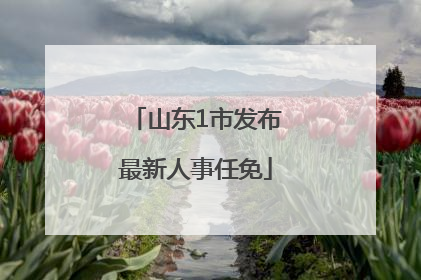 山东1市发布最新人事任免