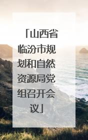 山西省临汾市规划和自然资源局党组召开会议